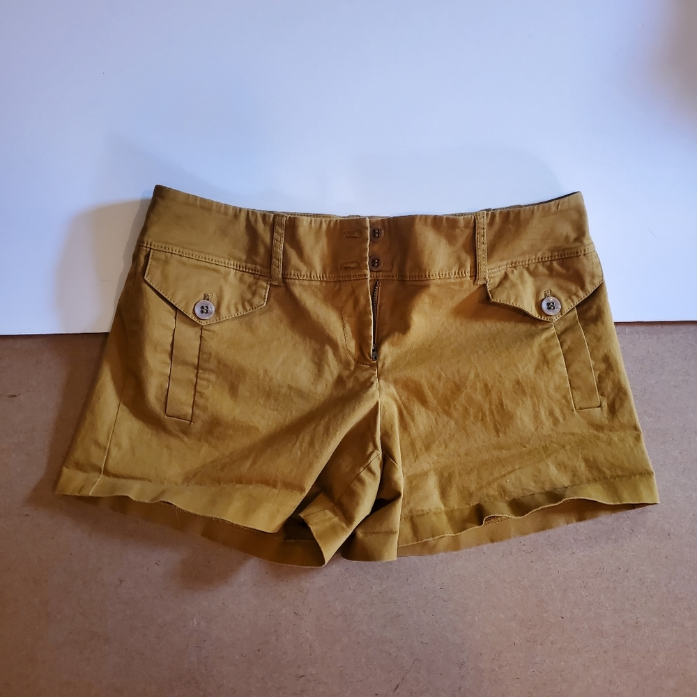 Dark Khaki - Brown - Mustard Shorts